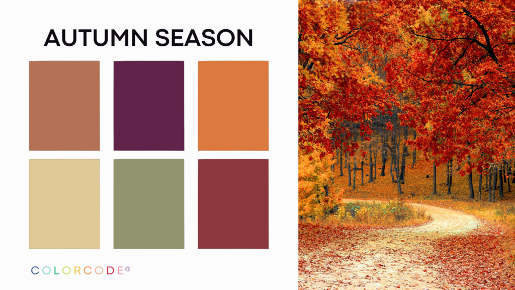 personal color analysis - autumn color palette