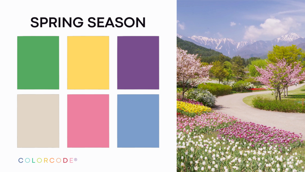 Seasonal Color Analysis - Spring