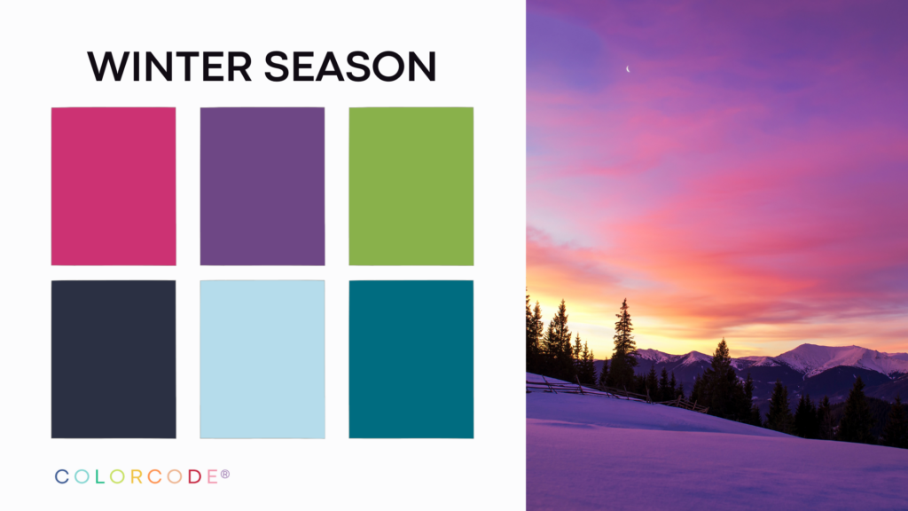 personal color analysis - winter palette